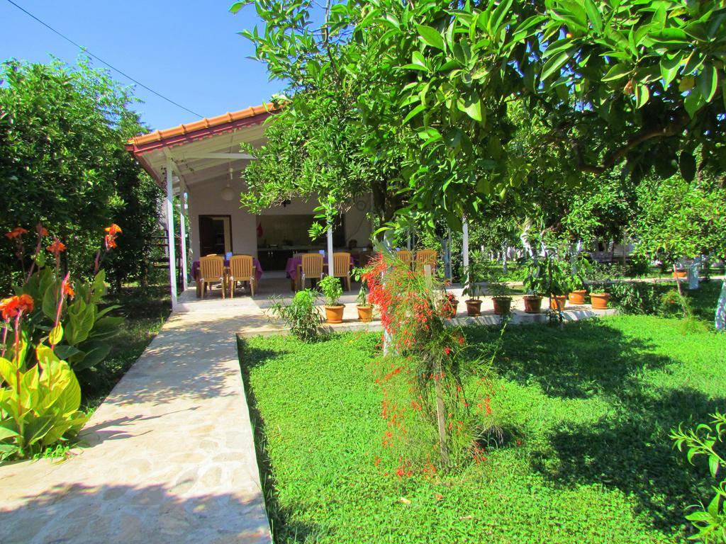 Safir Pansiyon ชิลารึ ภายนอก รูปภาพ