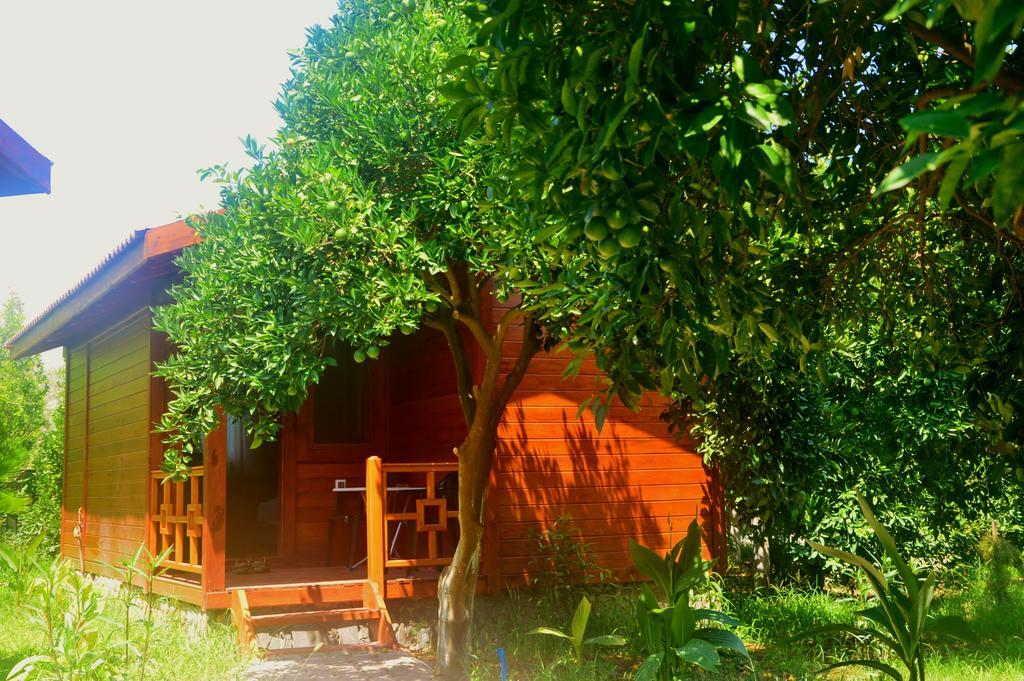 Safir Pansiyon ชิลารึ ภายนอก รูปภาพ