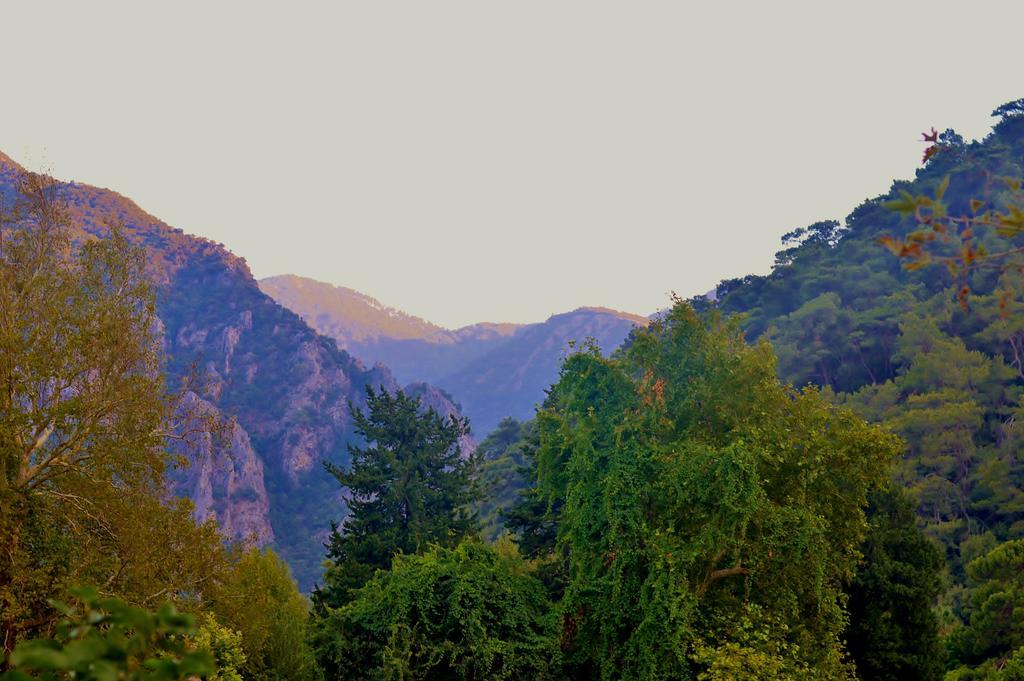 Safir Pansiyon ชิลารึ ภายนอก รูปภาพ